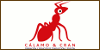 Centros de Formación y Academias - Cursos Cálamo&Cran - Masters Cálamo&Cran - Formación Cálamo&Cran