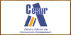Centros de Formación y Academias - Cursos CESUR - Masters CESUR - Formación CESUR