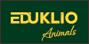 Centros de Formación y Academias - Cursos EDUKLIO - Masters EDUKLIO - Formación EDUKLIO