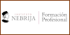 Centros de Formación y Academias - Cursos Instituto Nebrija de Formación Profesional - Masters Instituto Nebrija de Formación Profesional - Formación Instituto Nebrija de Formación Profesional