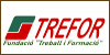 Centros de Formación y Academias - Cursos Trefor Castellón - Masters Trefor Castellón - Formación Trefor Castellón